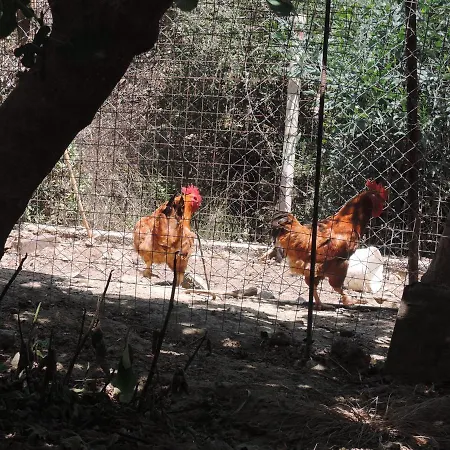 Kapsali Apartmán Galini (Naxos)