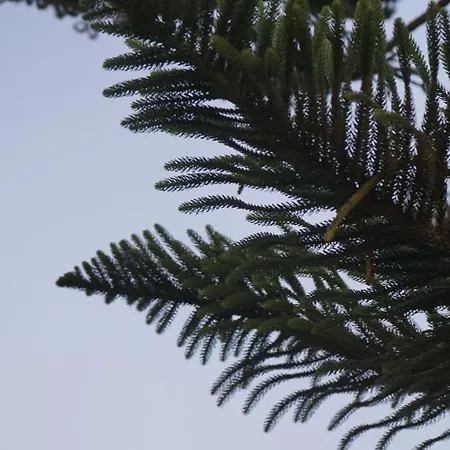 Kapsali Appartement *