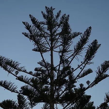 Kapsali Appartement *