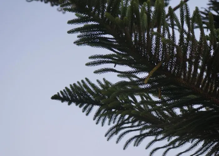 Kapsali Appartement *