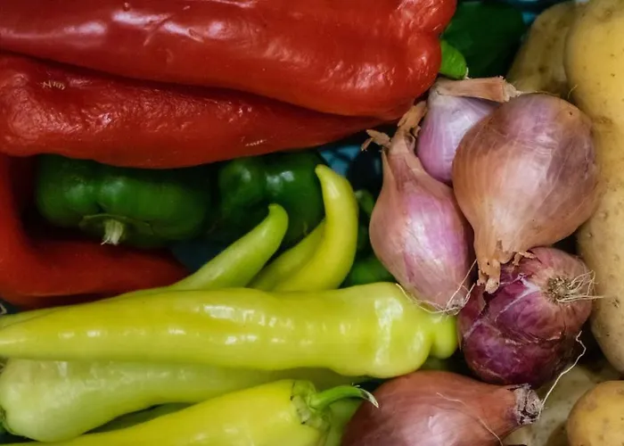 Appartement Kapsali Galini (Naxos)