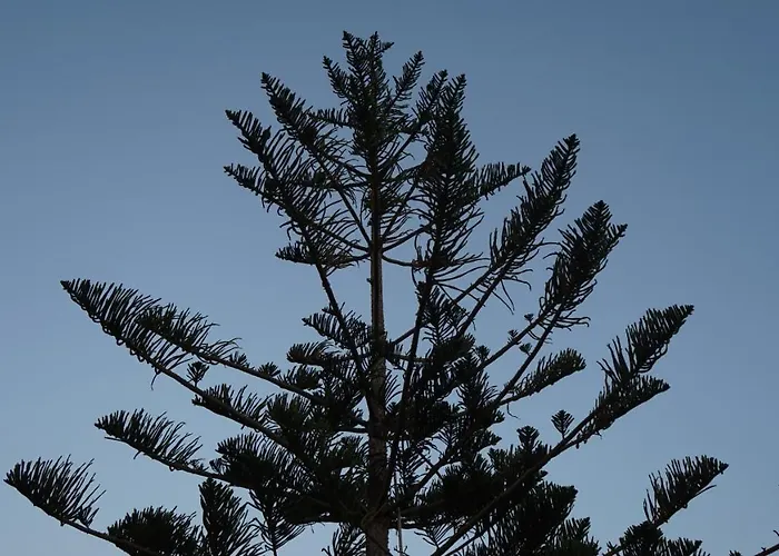 Kapsali Appartement *